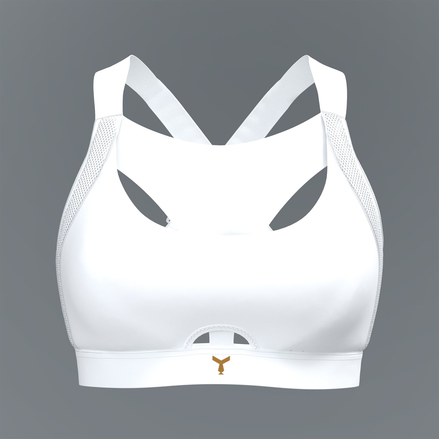 The Ultimate Bra