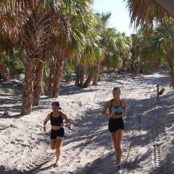 Ultra runners Whitney Dancaster and Loan Vo wearing green and black Tigers Eye bras to a palm grove trail run.